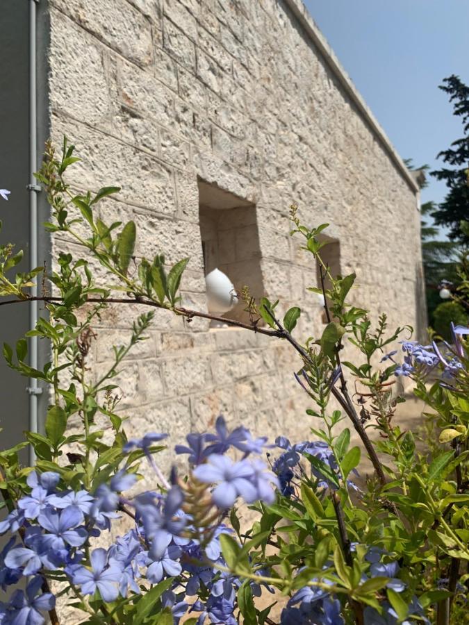 チステルニーノ Trullo Sette Tindenuleヴィラ エクステリア 写真